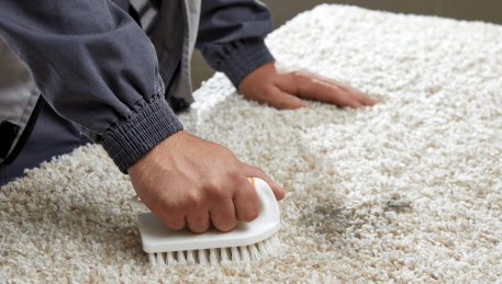 Professional Rug Cleaning Lilydale